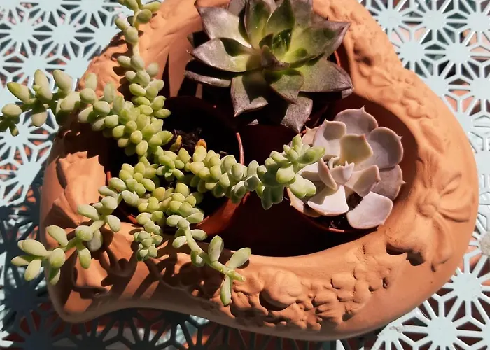 Elegance Bed and breakfast 4*