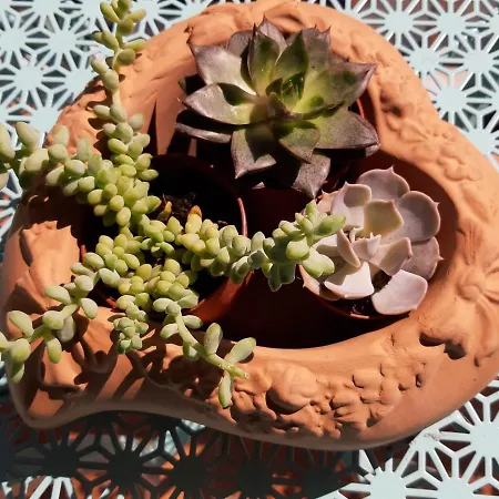 Elegance Couette-café 4*